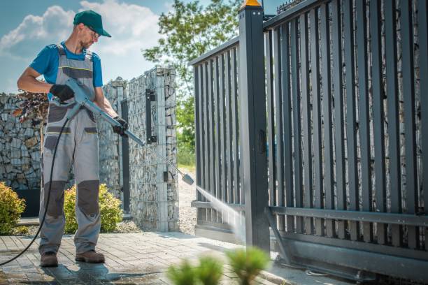 Best Roof Washing  in Grapeland, TX